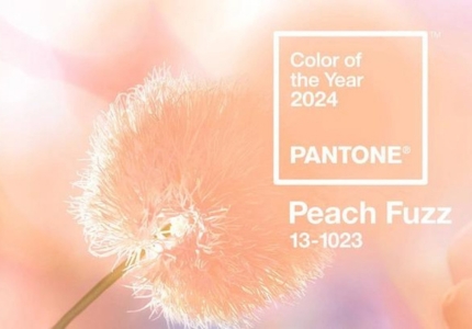 MÀU SẮC CỦA NĂM 2024: PEACH FLUZZ